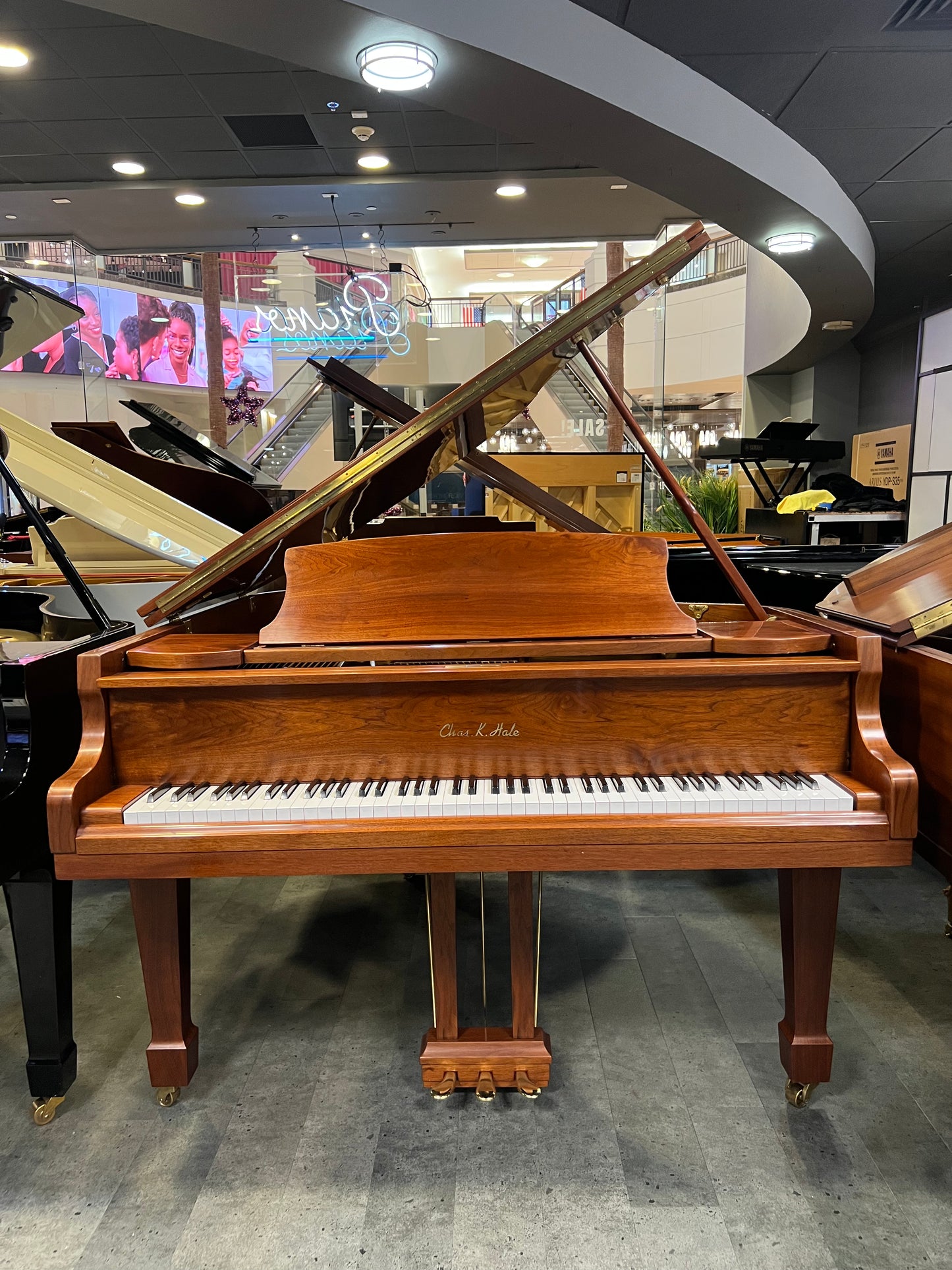 Pre-Owned Grand Chase K. Hale
