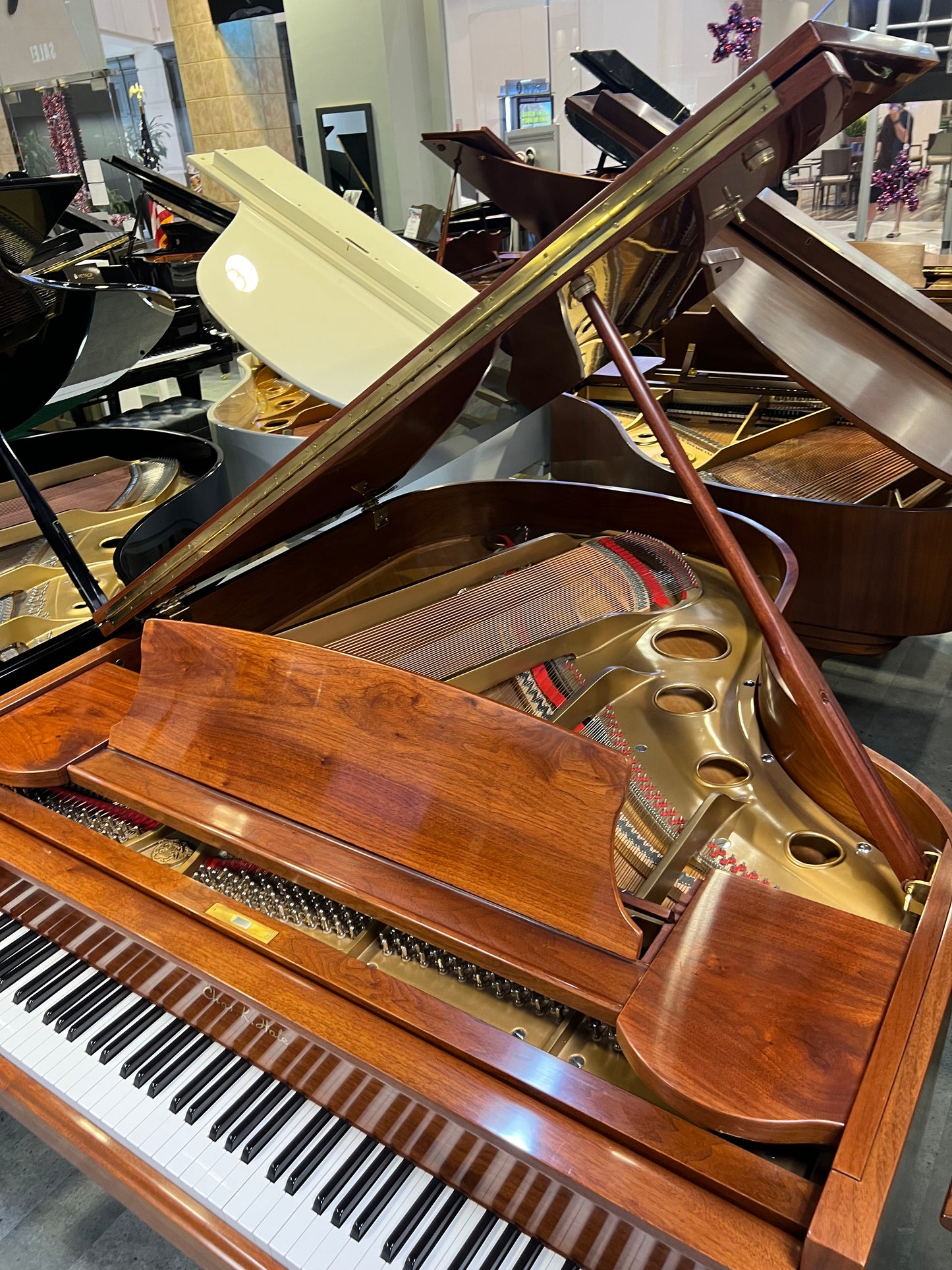 Pre-Owned Grand Chase K. Hale