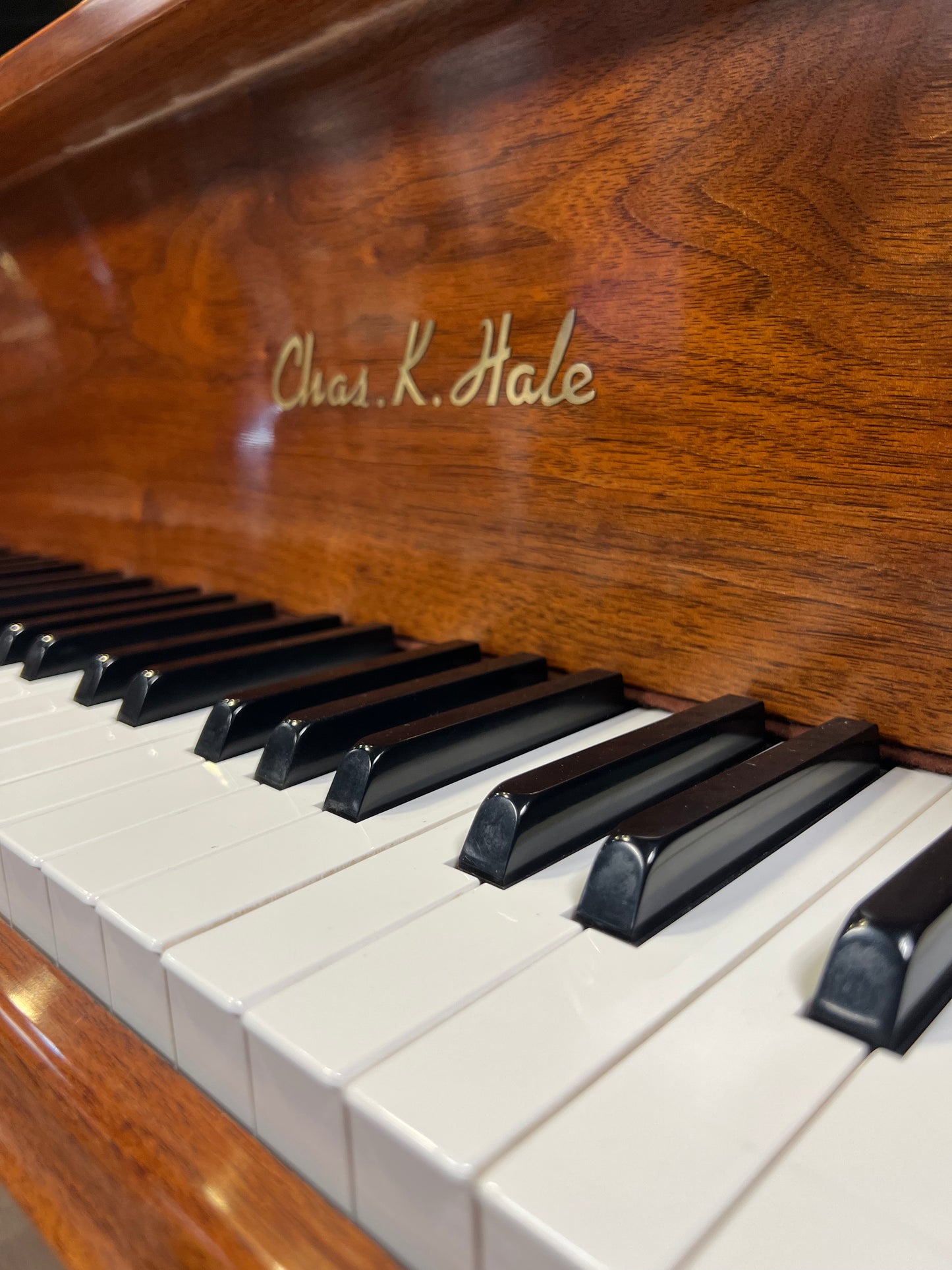 Pre-Owned Grand Chase K. Hale