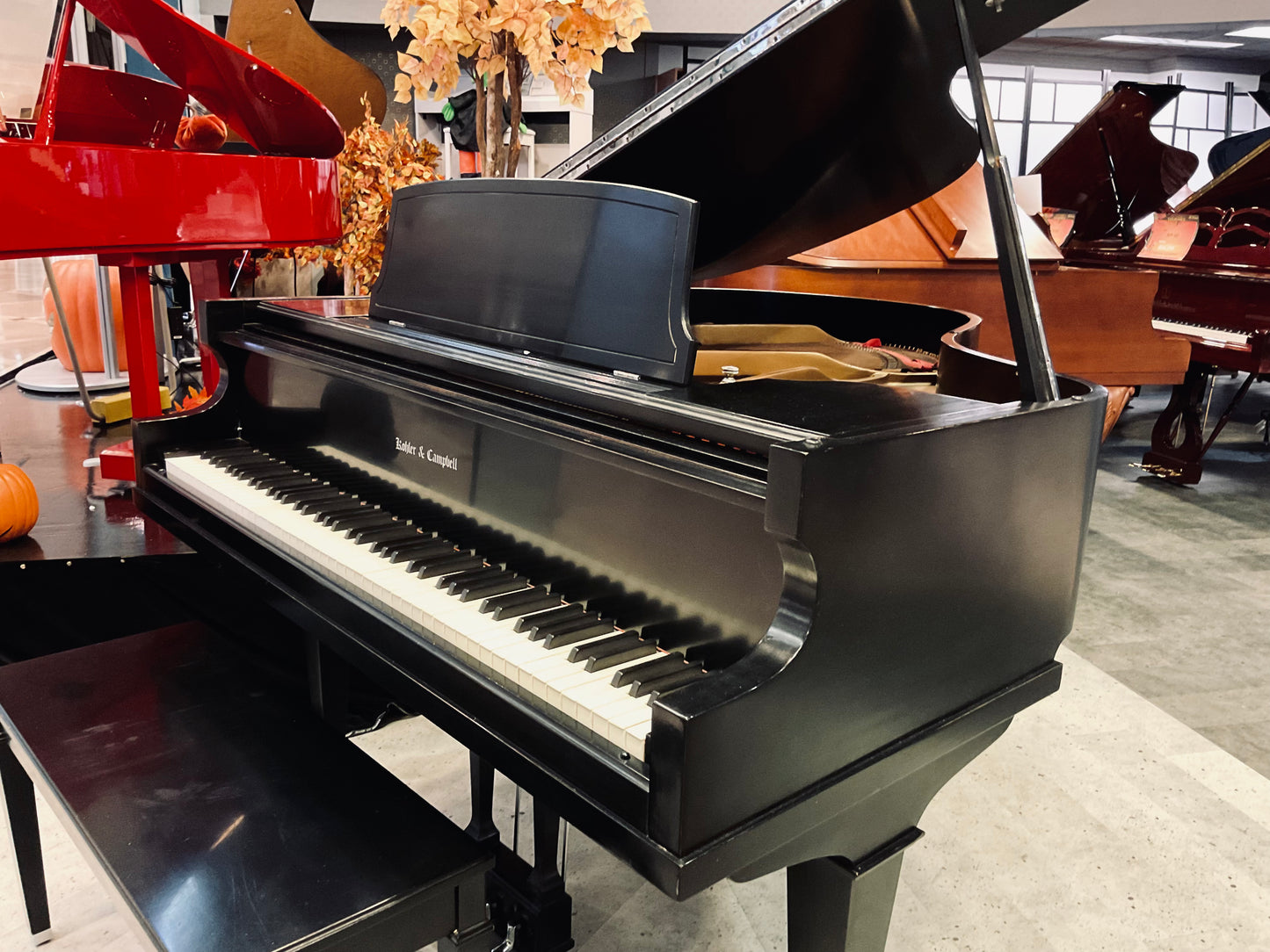 Pre-Owned Grand Kohler & Campbell (5')