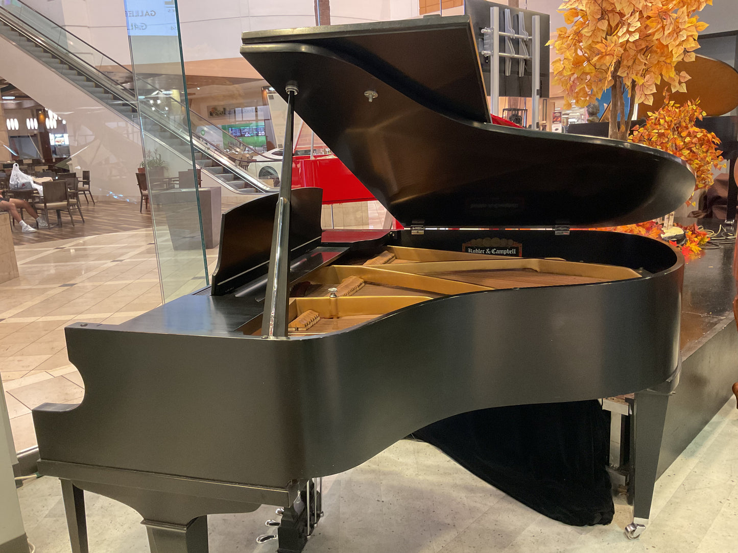 Pre-Owned Grand Kohler & Campbell (5')