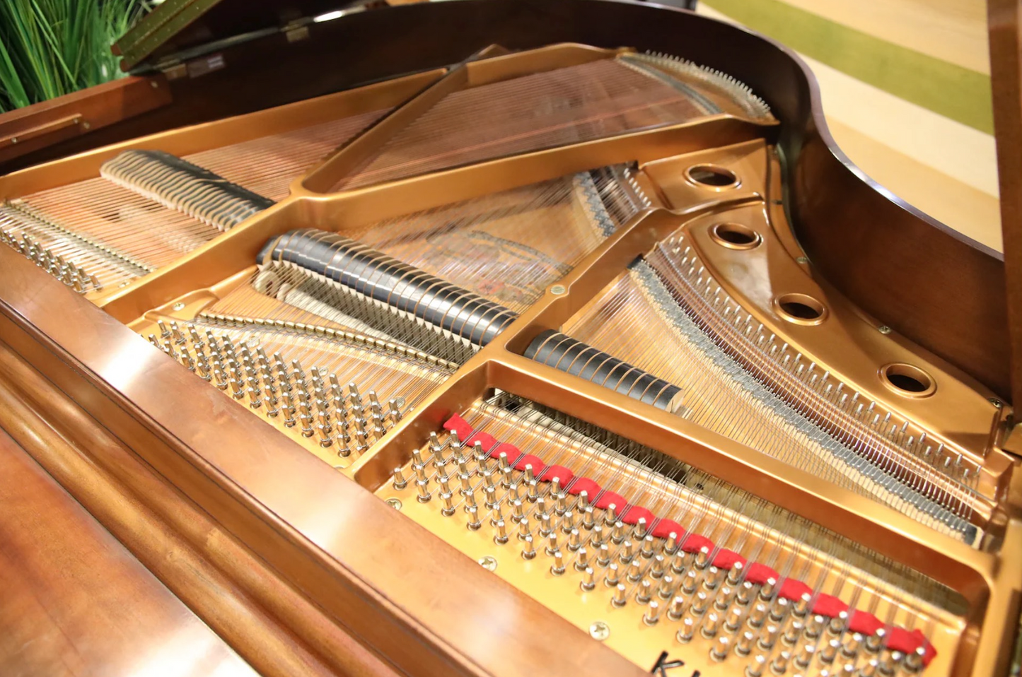 Pre-Owned Grand Kimball Viennese (5'2)