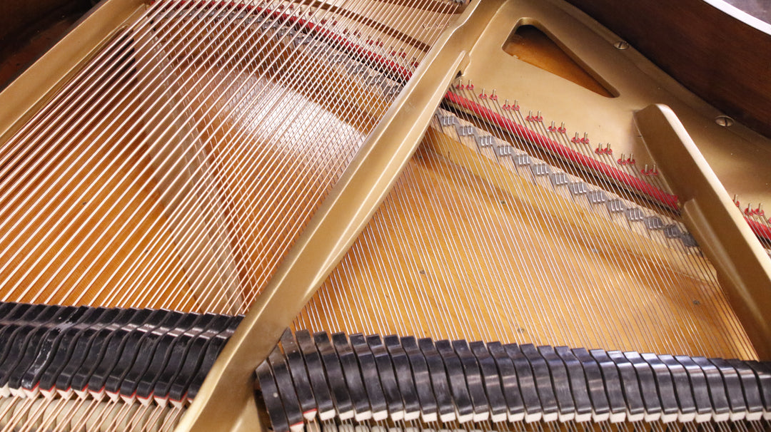 Pre-Owned Grotrian Steinmeg 140 Grand Piano