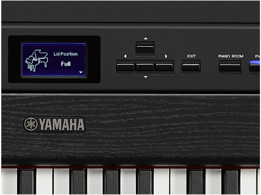 Fresco Fácil de leer Repulsión Yamaha P-515 Digital Piano – Piano Showcase, Inc.